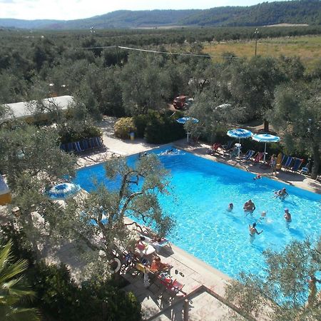 Appartamenti Gallo Club Vieste Exterior foto